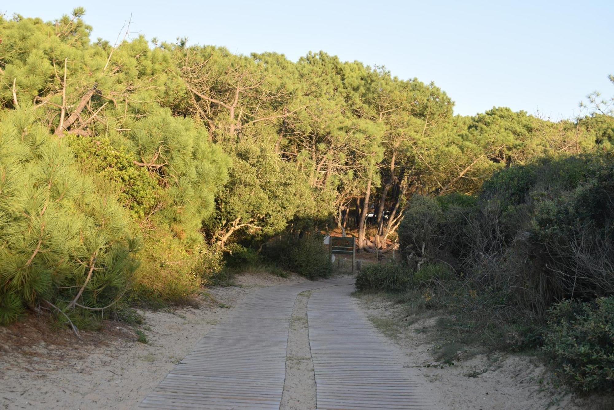 Evasion Cotiere Tranquillite Entre Foret Et Ocean Vielle-Saint-Girons Exteriér fotografie
